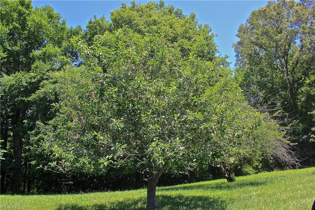 503 McKinney Road Reidsville, NC 27320 - Photo 23 of 28 Gallery Image 23