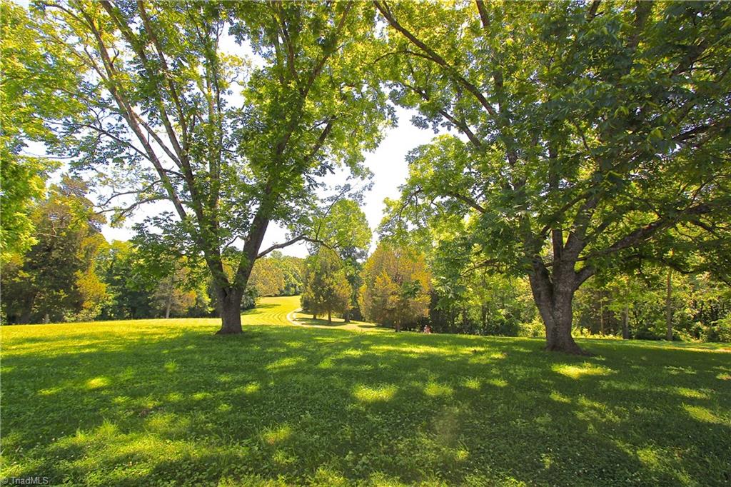 503 McKinney Road Reidsville, NC 27320 - Photo 5 of 28 Your view from the front porch framed by very nice mature pecan trees.
