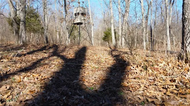 $425,000 | 82 Acres N/a Climax Springs, Climax Springs, MO 65324