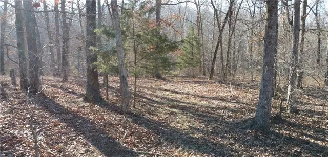 $425,000 | 82 Acres N/a Climax Springs, Climax Springs, MO 65324