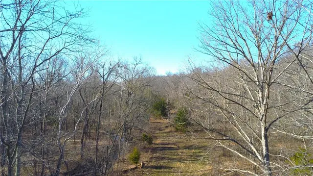 $425,000 | 82 Acres N/a Climax Springs, Climax Springs, MO 65324