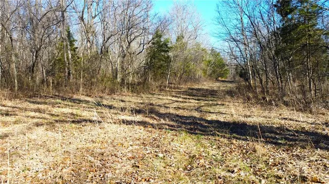$425,000 | 82 Acres N/a Climax Springs, Climax Springs, MO 65324