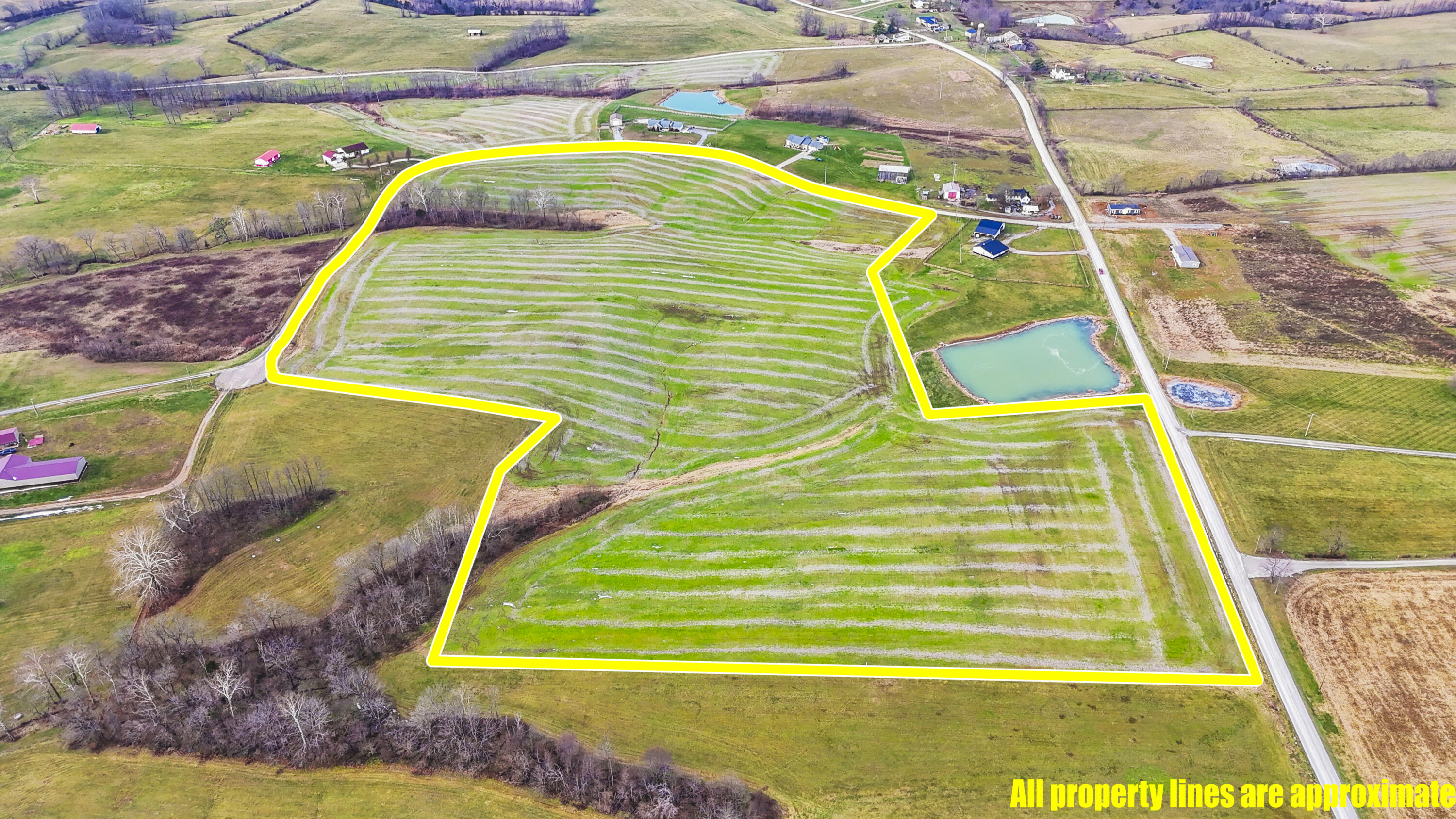 0 Wallingford Road Flemingsburg, KY 41041 - Photo 17 of 18 DJI_20251217112155_0015_D_line