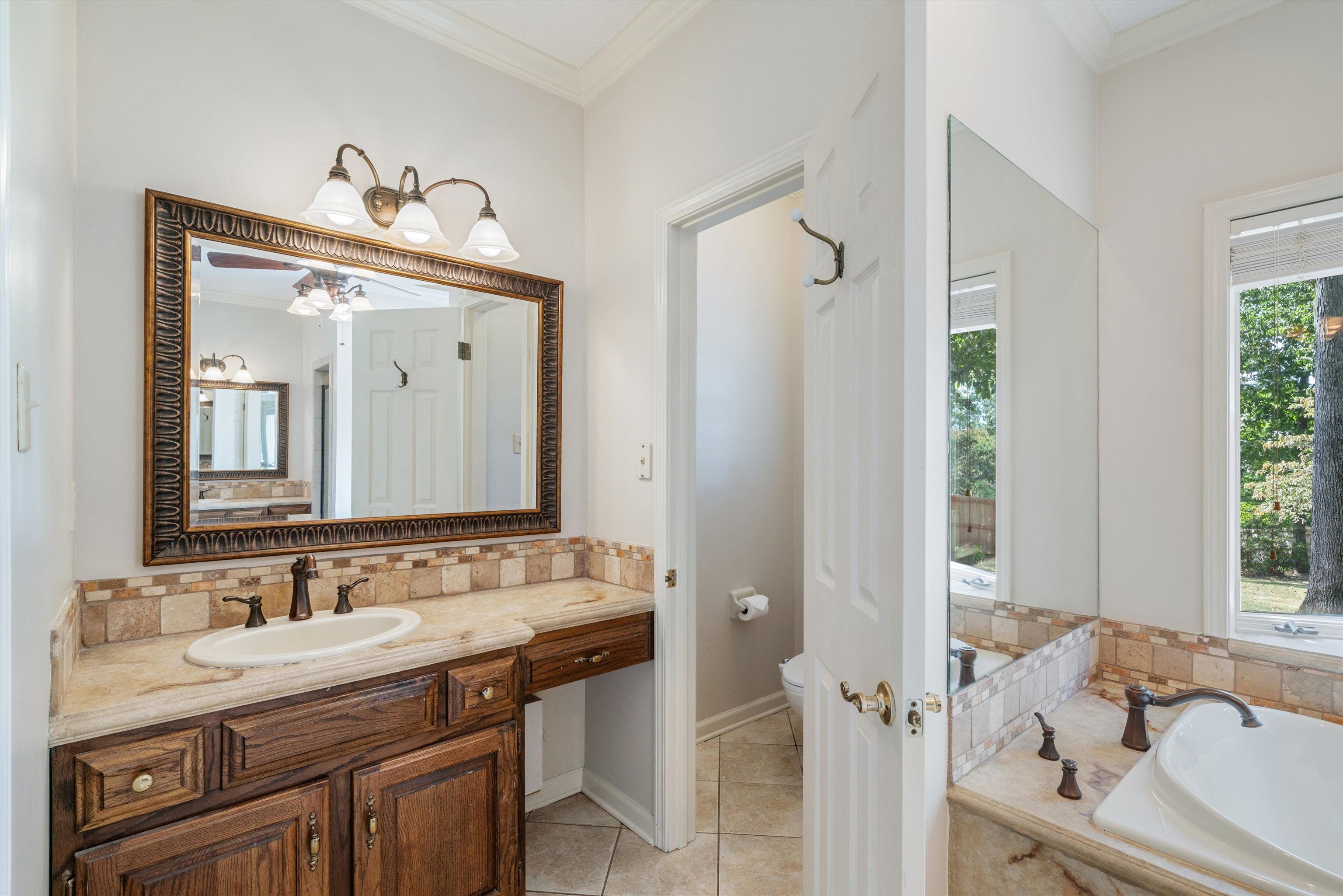 4309 Garner Place Bartlett, TN 38135 - Photo 15 of 40 a bathroom with a sink and a mirror