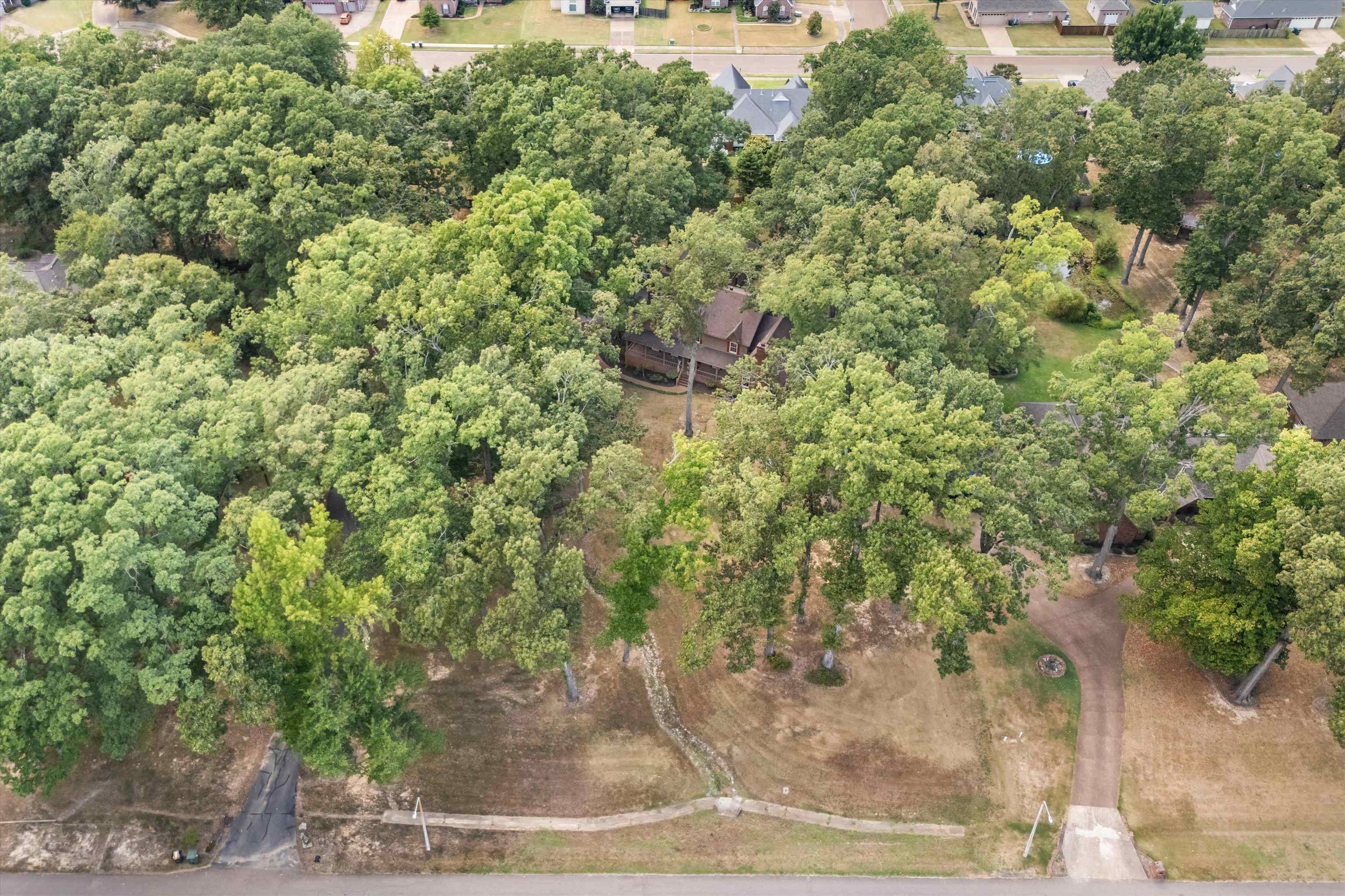 4309 Garner Place Bartlett, TN 38135 - Photo 35 of 40 a view of a yard