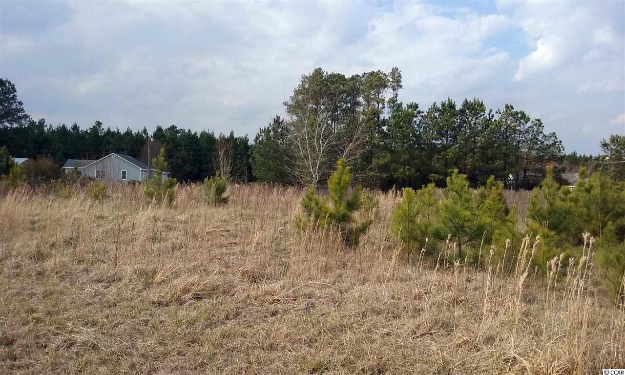 Tbd Circle M Road Longs, SC 29568 - Photo 1 of 1