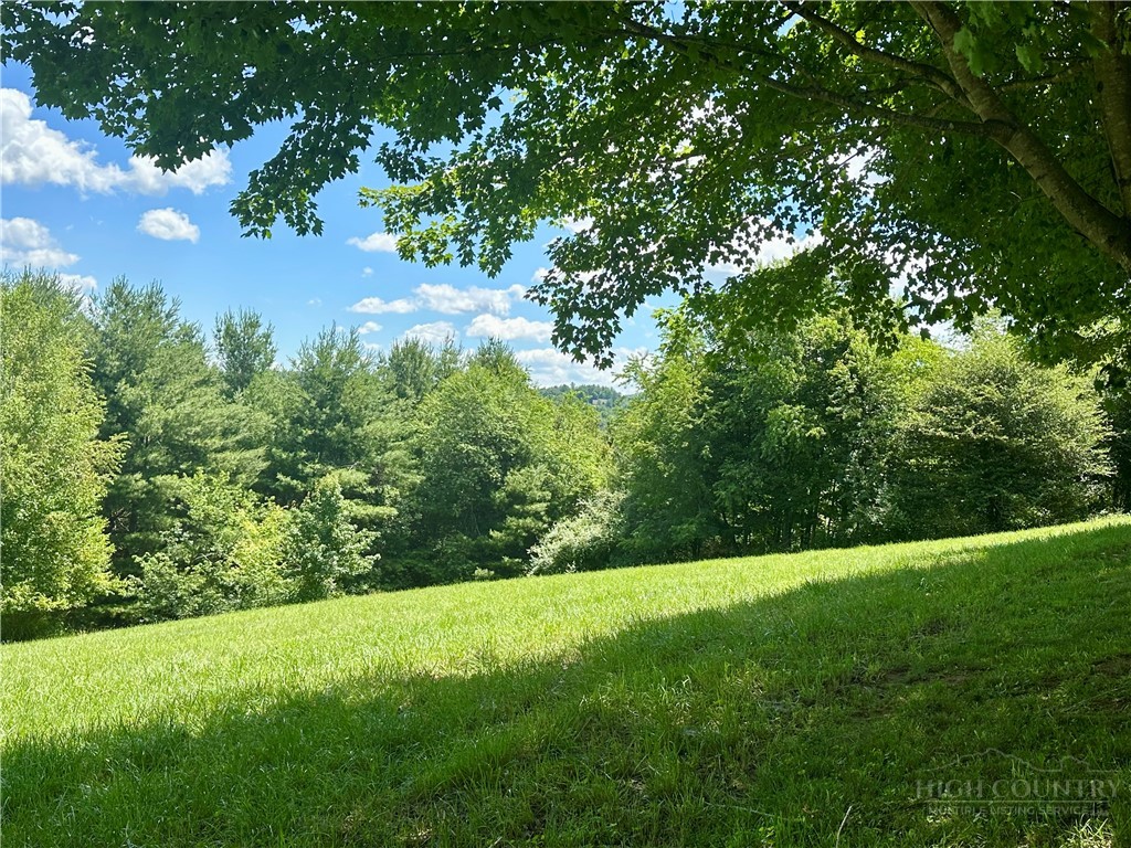 Pinnacle Ridge Road Jefferson, NC 28640 - Photo 4 of 13