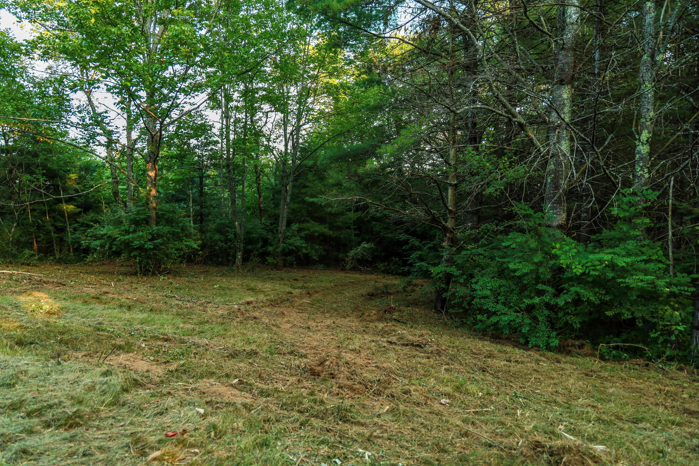 0 Old County Road Sabattus, ME 04280 - Photo 2 of 9 IMG_0003 (1)