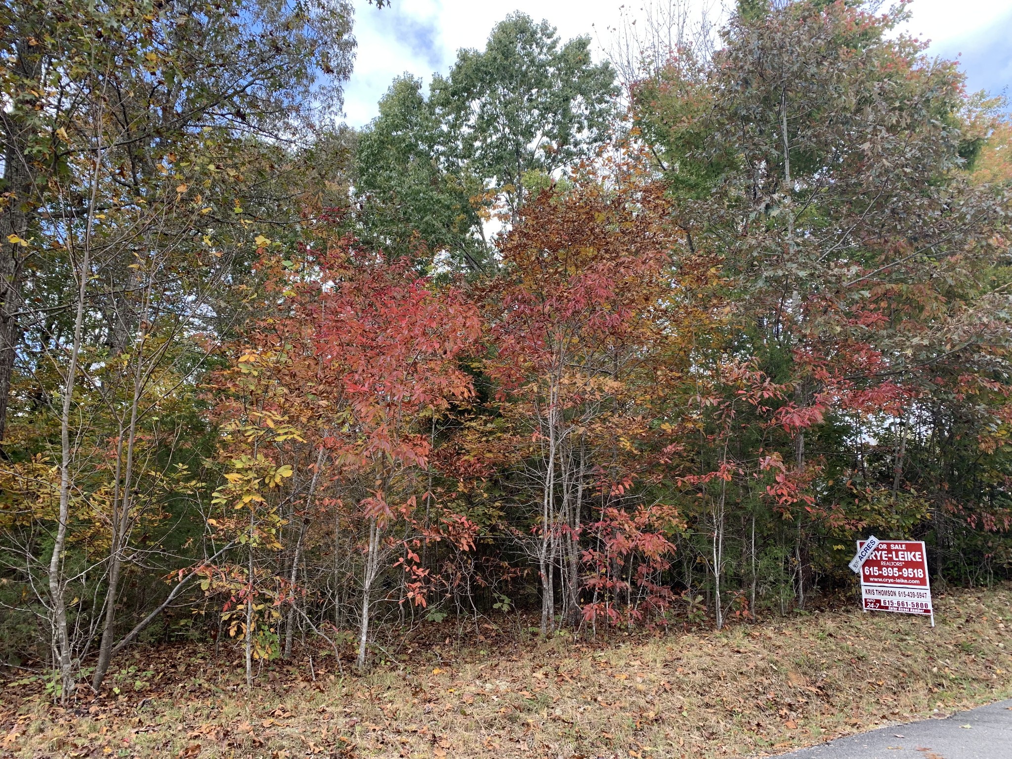 20 Lake Forrest Road Lynchburg, TN 37352 - Photo 3 of 3 a outdoor space with lots of trees