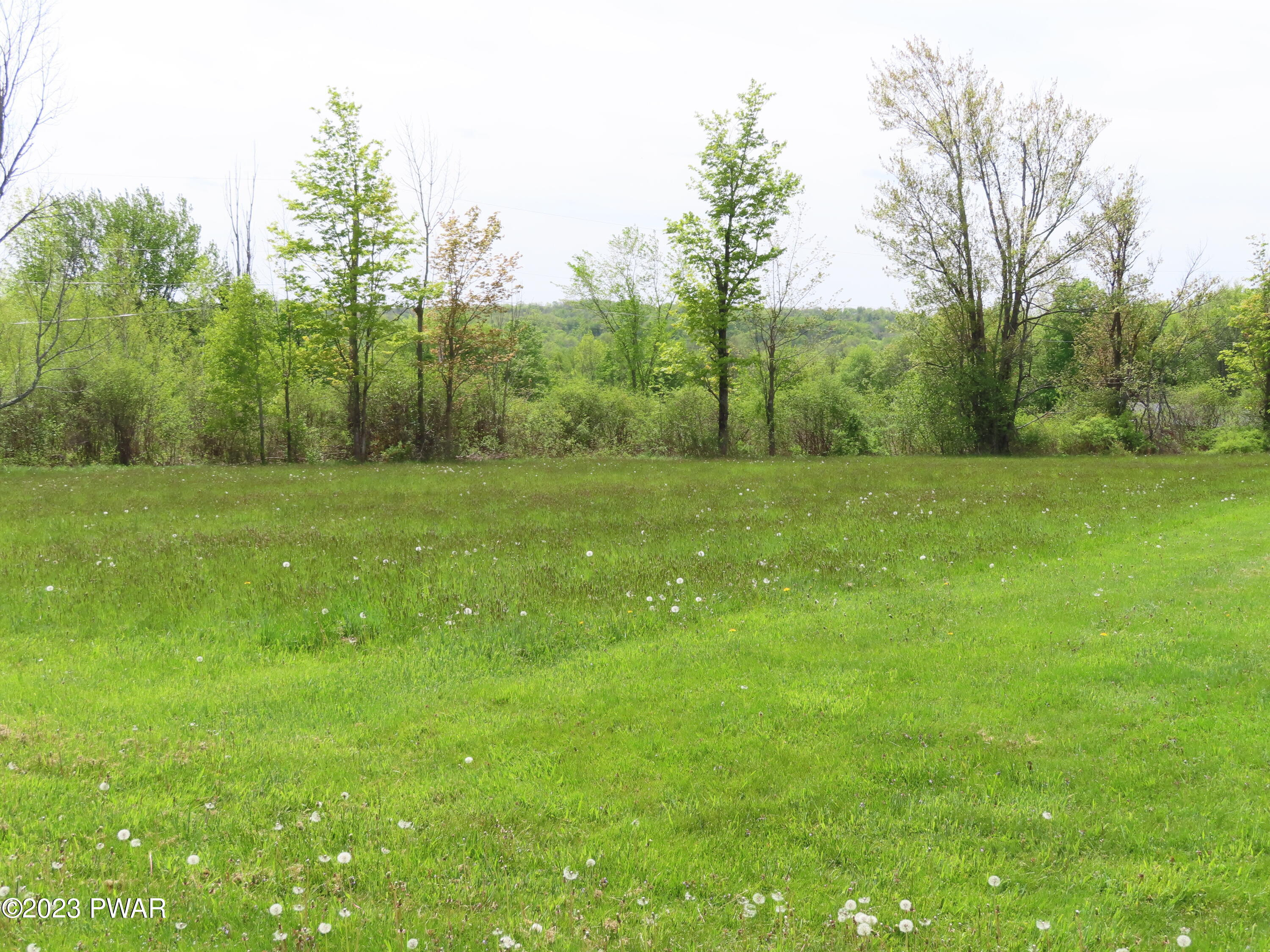 Lot 1 Miller Rd Lake Lake Ariel, PA 18436 - Photo 7 of 13