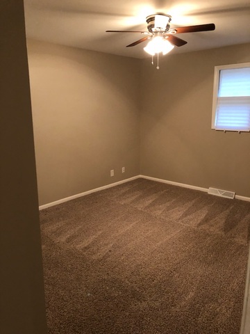 161 East Francis Road New Lenox, IL 60451 - Photo 7 of 9