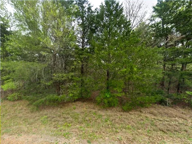a view of a field with trees in the background