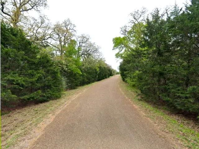 a view of a road with plants and trees in the background