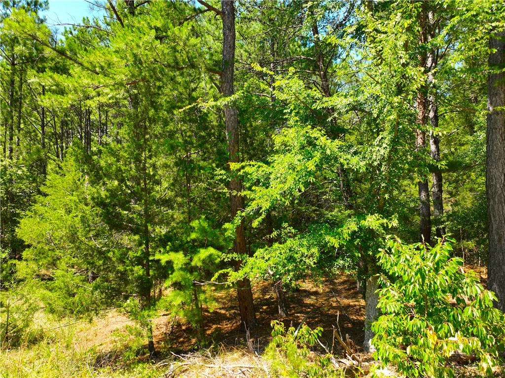 401 Coleman Road Clinton, SC 29325 - Photo 14 of 25
