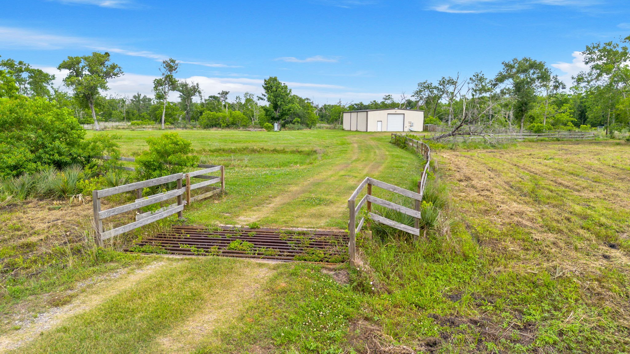 14067 County Road 809 Sweeny, TX 77480 - Photo 11 of 12 a view of a swimming pool with a yard