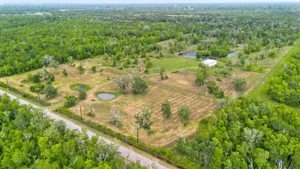 a view of a city with lush green forest