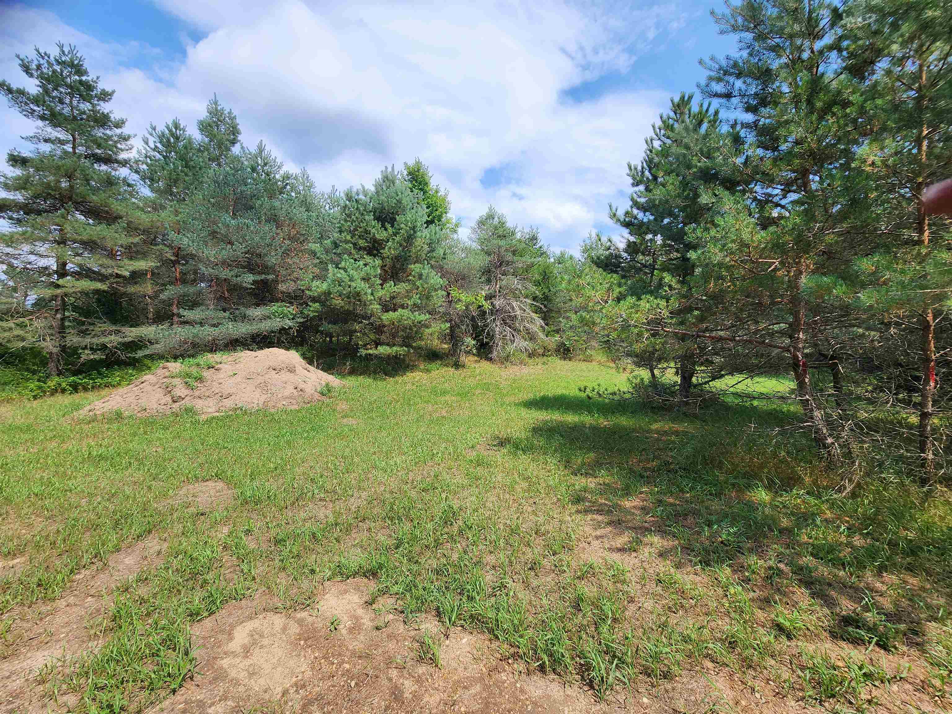 Parcel A East 18 1/2 Road Manton, MI 49663 - Photo 10 of 42 Gallery Image 10
