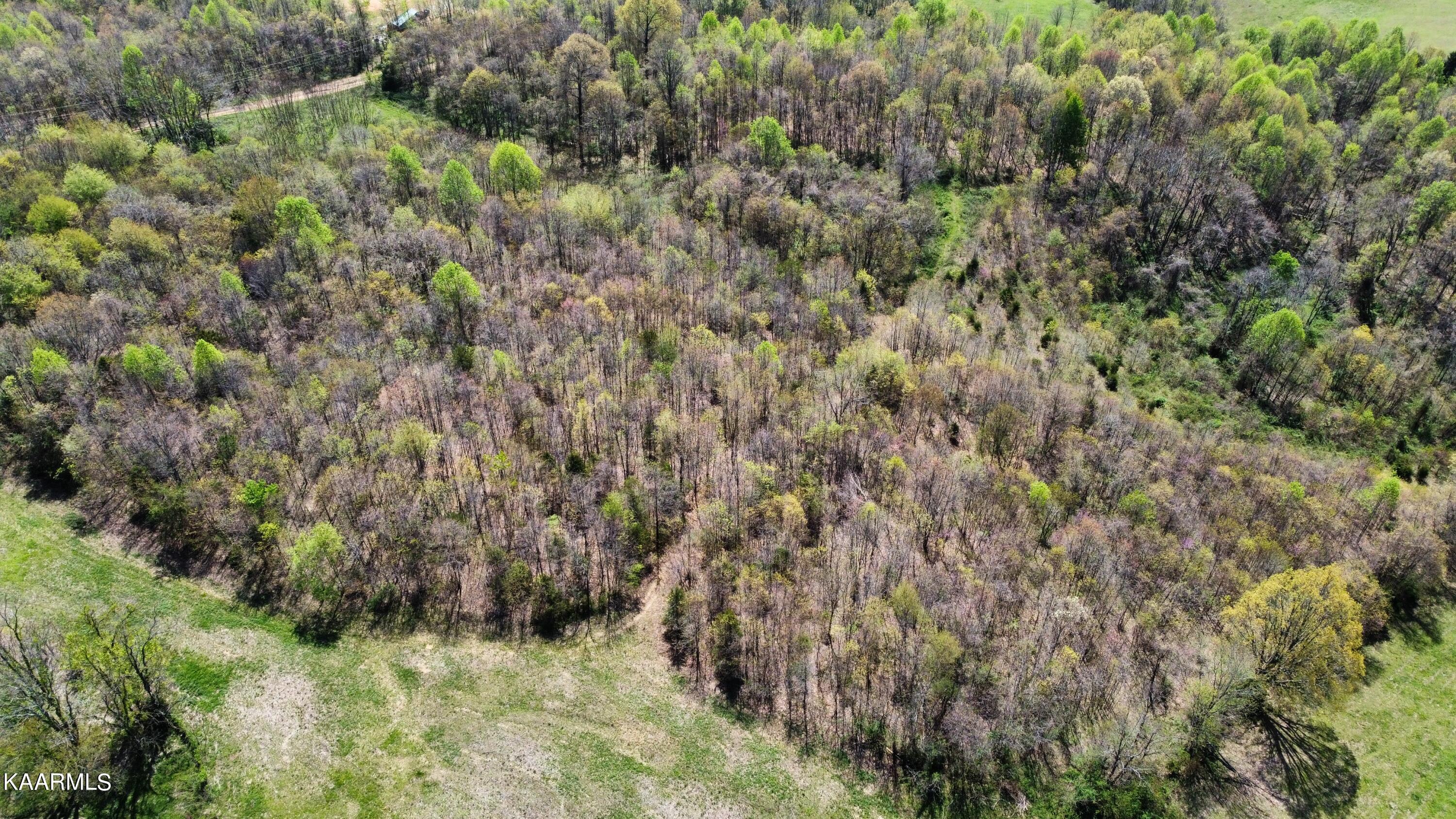 6.3 Acres Off Shirley Road Washburn, TN 37888 - Photo 5 of 5 Photo Apr 13 2023, 11 26 52 AM