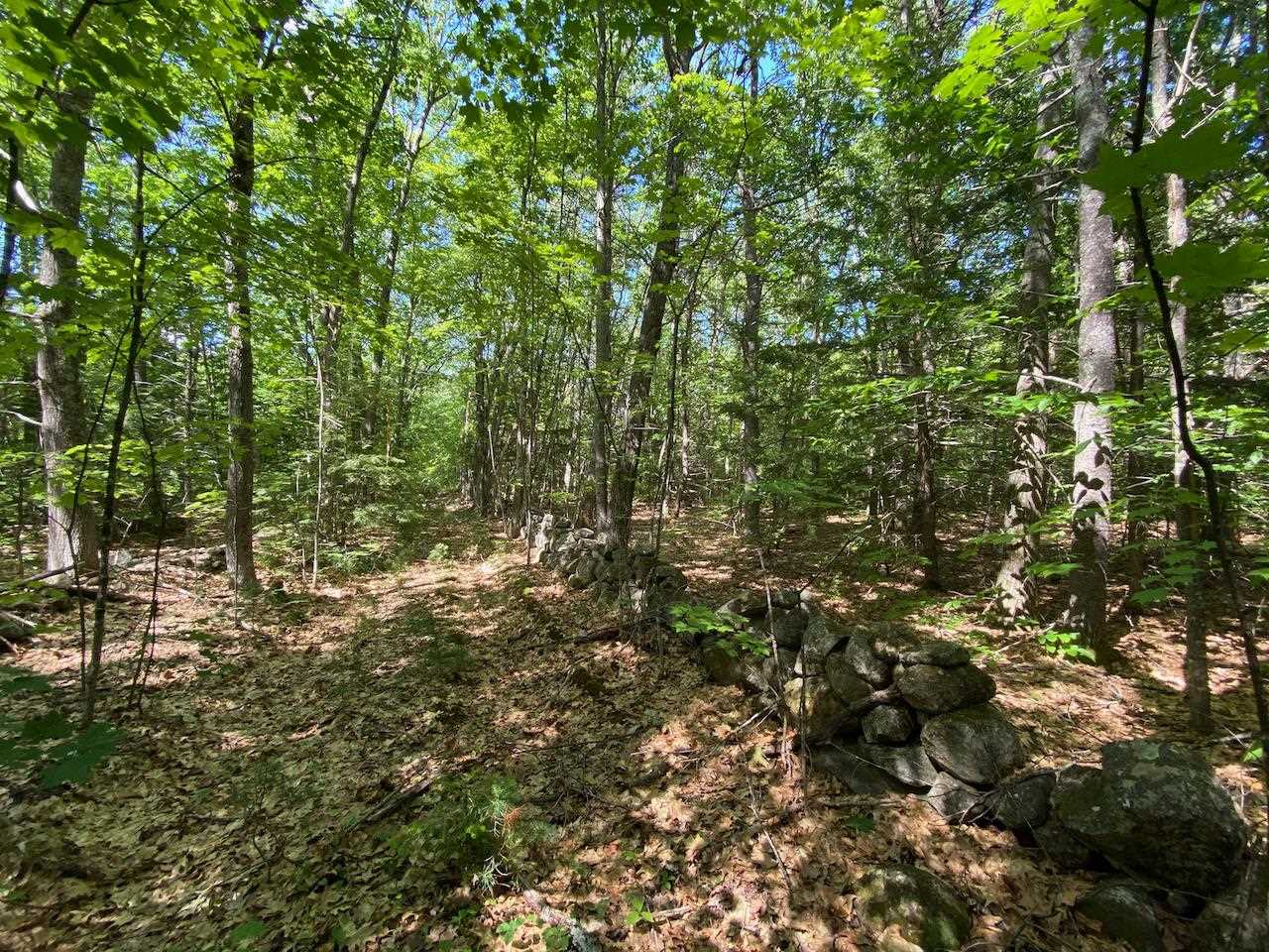 0 Hatch Hill Road Center Conway, NH 03813 - Photo 13 of 18