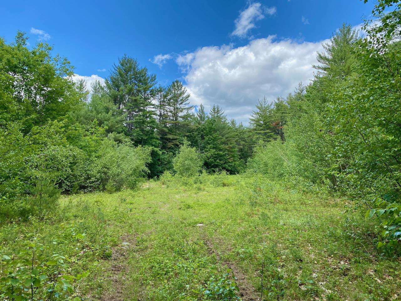 0 Hatch Hill Road Center Conway, NH 03813 - Photo 15 of 18