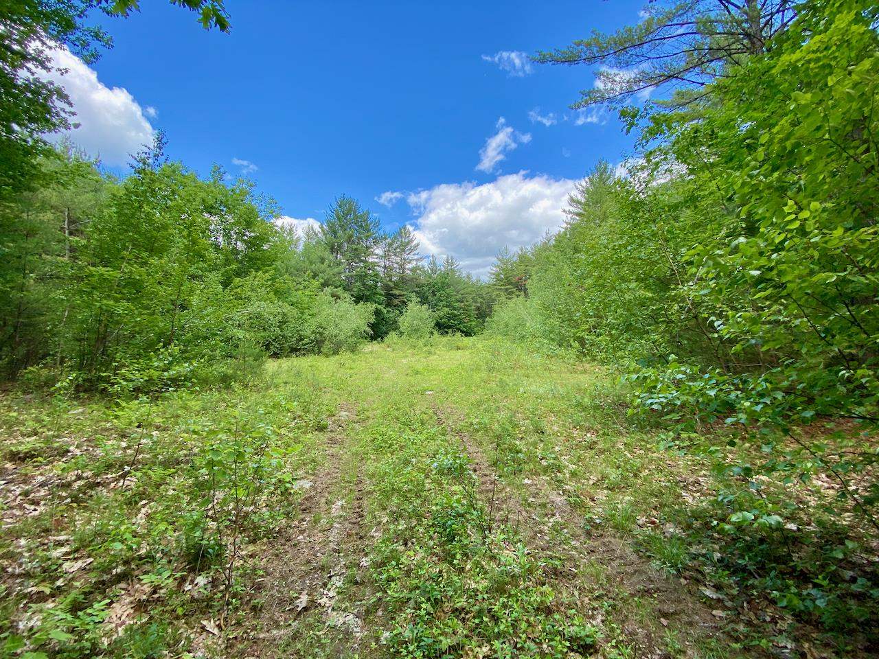 0 Hatch Hill Road Center Conway, NH 03813 - Photo 16 of 18