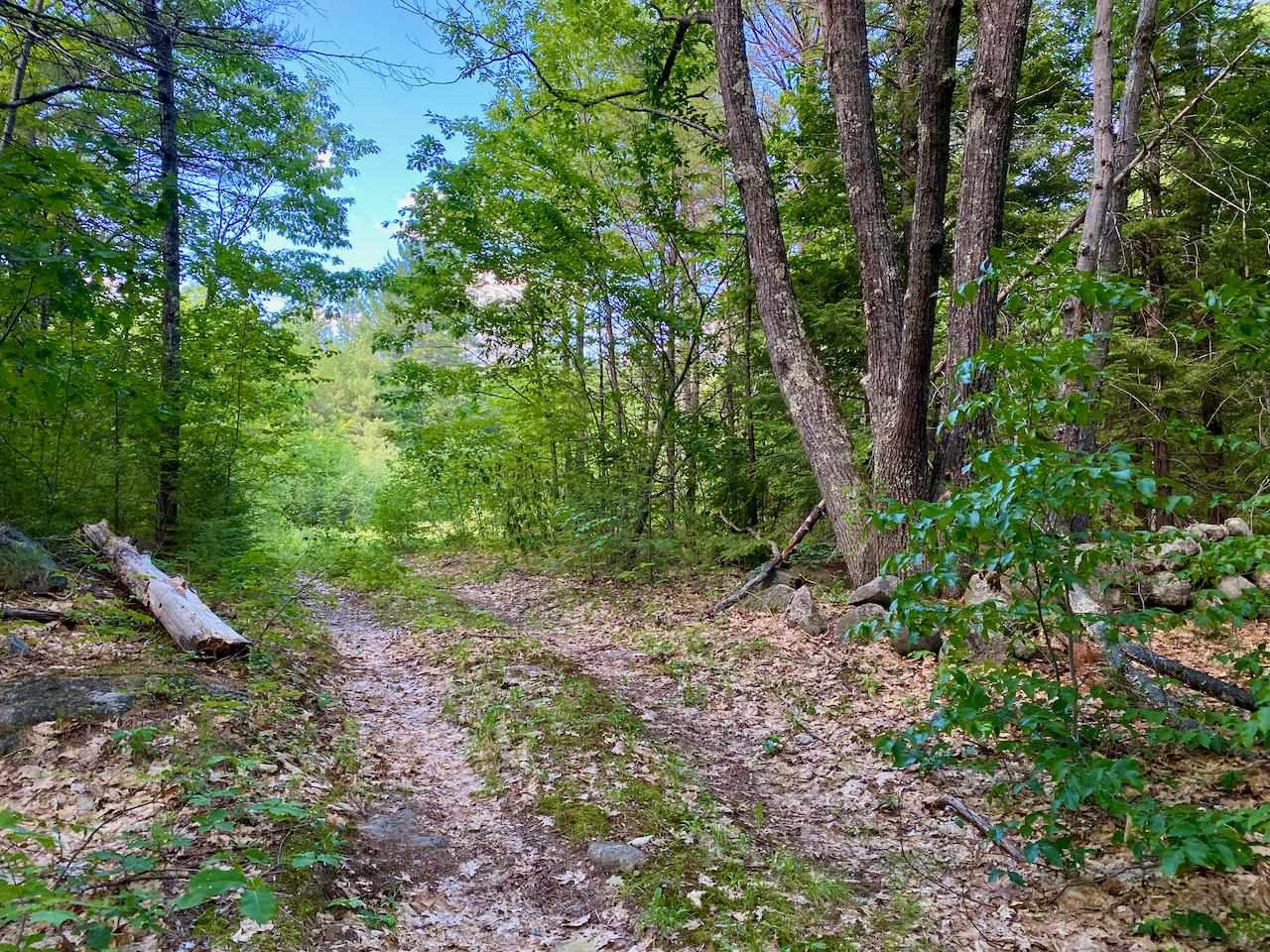 0 Hatch Hill Road Center Conway, NH 03813 - Photo 18 of 18