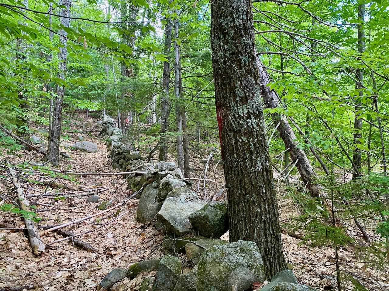 0 Hatch Hill Road Center Conway, NH 03813 - Photo 6 of 18