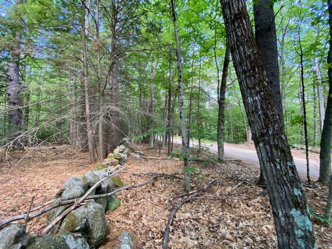 0 Hatch Hill Road Center Conway, NH 03813 - Photo 10 of 18