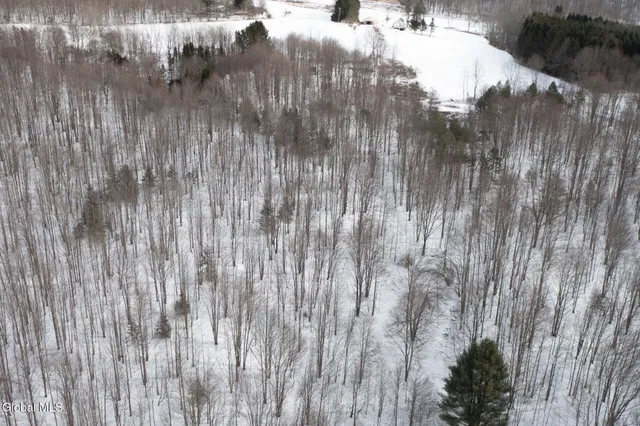 $60,000 | L3.7 Pine Swamp Road, Sidney Center, NY 13839