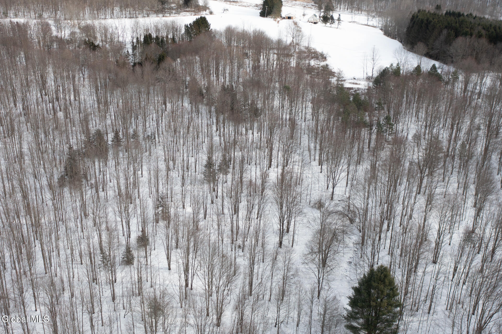 L3.7 Pine Swamp Road Sidney Center, NY 13839 - Photo 11 of 28 PineSwampRd-20