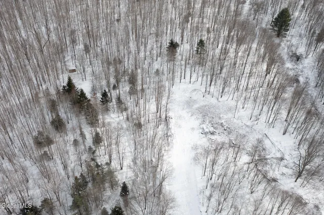 $60,000 | L3.7 Pine Swamp Road, Sidney Center, NY 13839