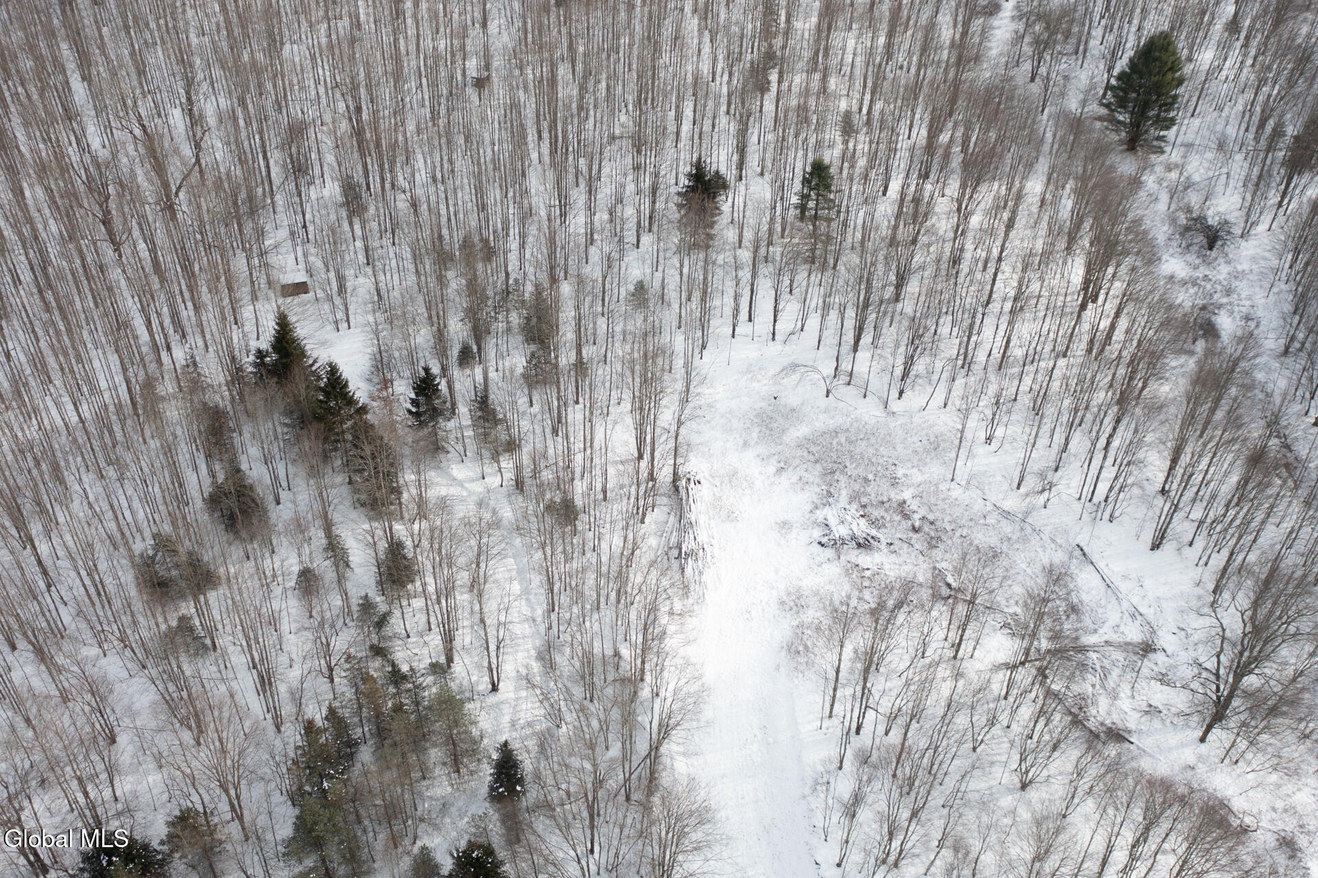 L3.7 Pine Swamp Road Sidney Center, NY 13839 - Photo 12 of 28 PineSwampRd-19