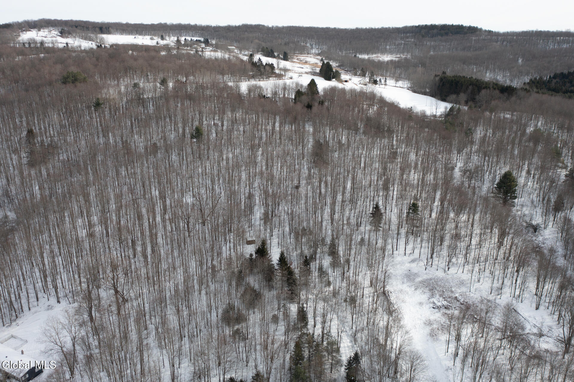 L3.7 Pine Swamp Road Sidney Center, NY 13839 - Photo 13 of 28 PineSwampRd-18