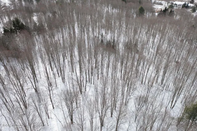 $60,000 | L3.7 Pine Swamp Road, Sidney Center, NY 13839