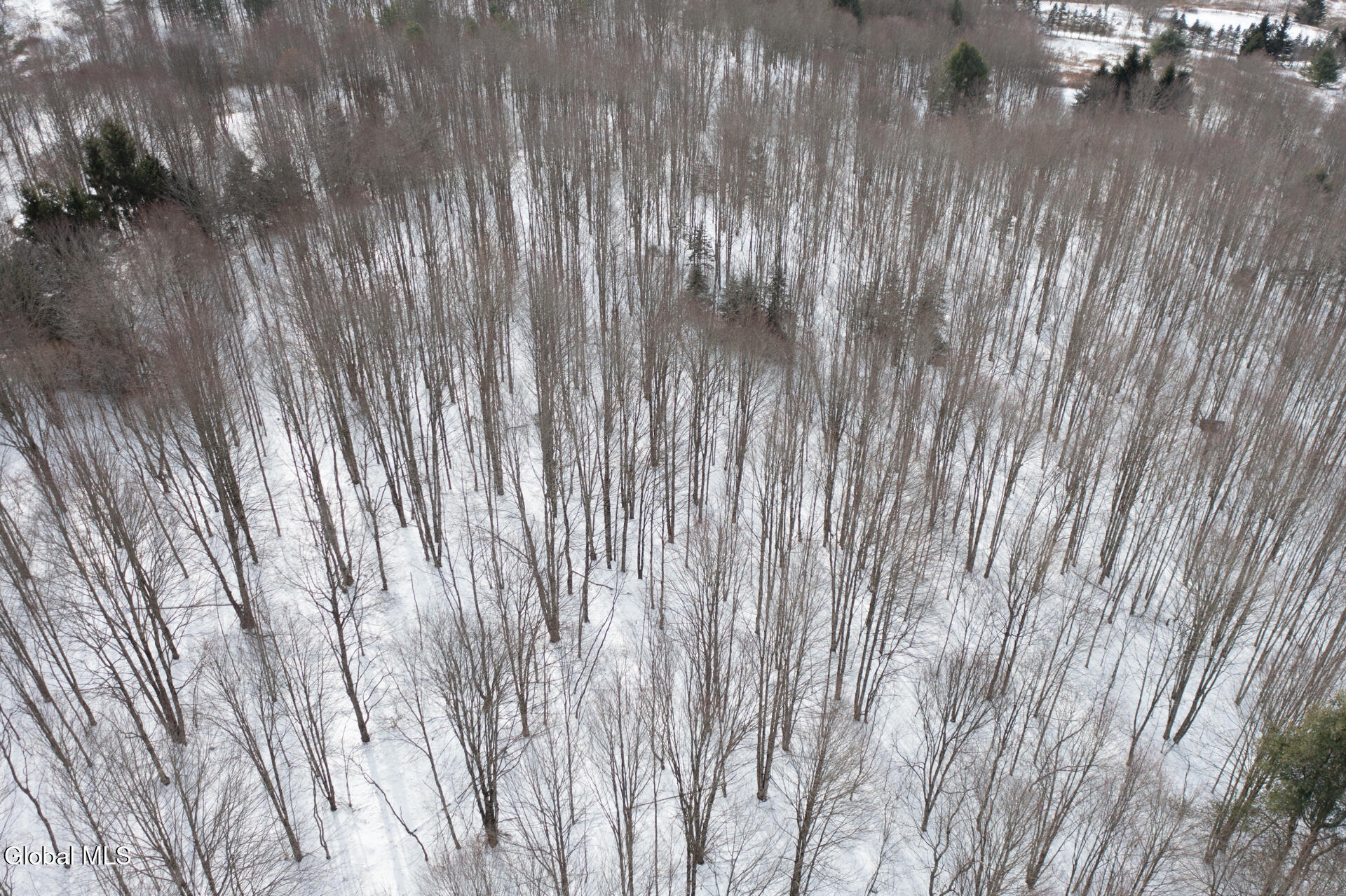 L3.7 Pine Swamp Road Sidney Center, NY 13839 - Photo 14 of 28 PineSwampRd-14