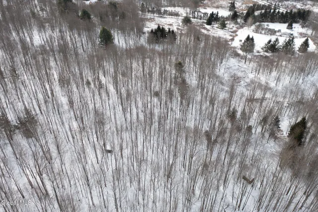 $60,000 | L3.7 Pine Swamp Road, Sidney Center, NY 13839