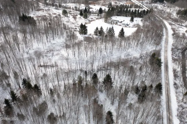 $60,000 | L3.7 Pine Swamp Road, Sidney Center, NY 13839