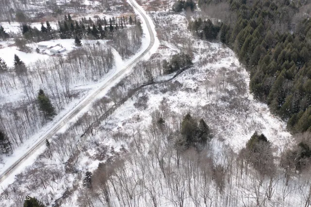 $60,000 | L3.7 Pine Swamp Road, Sidney Center, NY 13839