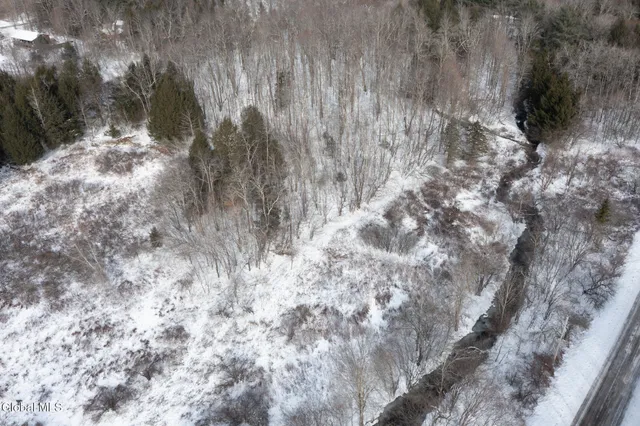 $60,000 | L3.7 Pine Swamp Road, Sidney Center, NY 13839