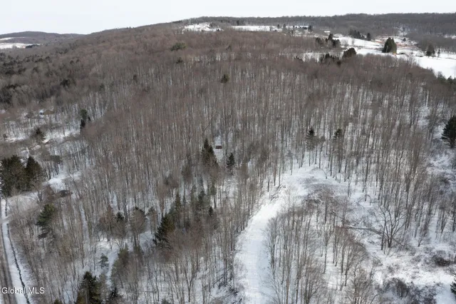 $60,000 | L3.7 Pine Swamp Road, Sidney Center, NY 13839