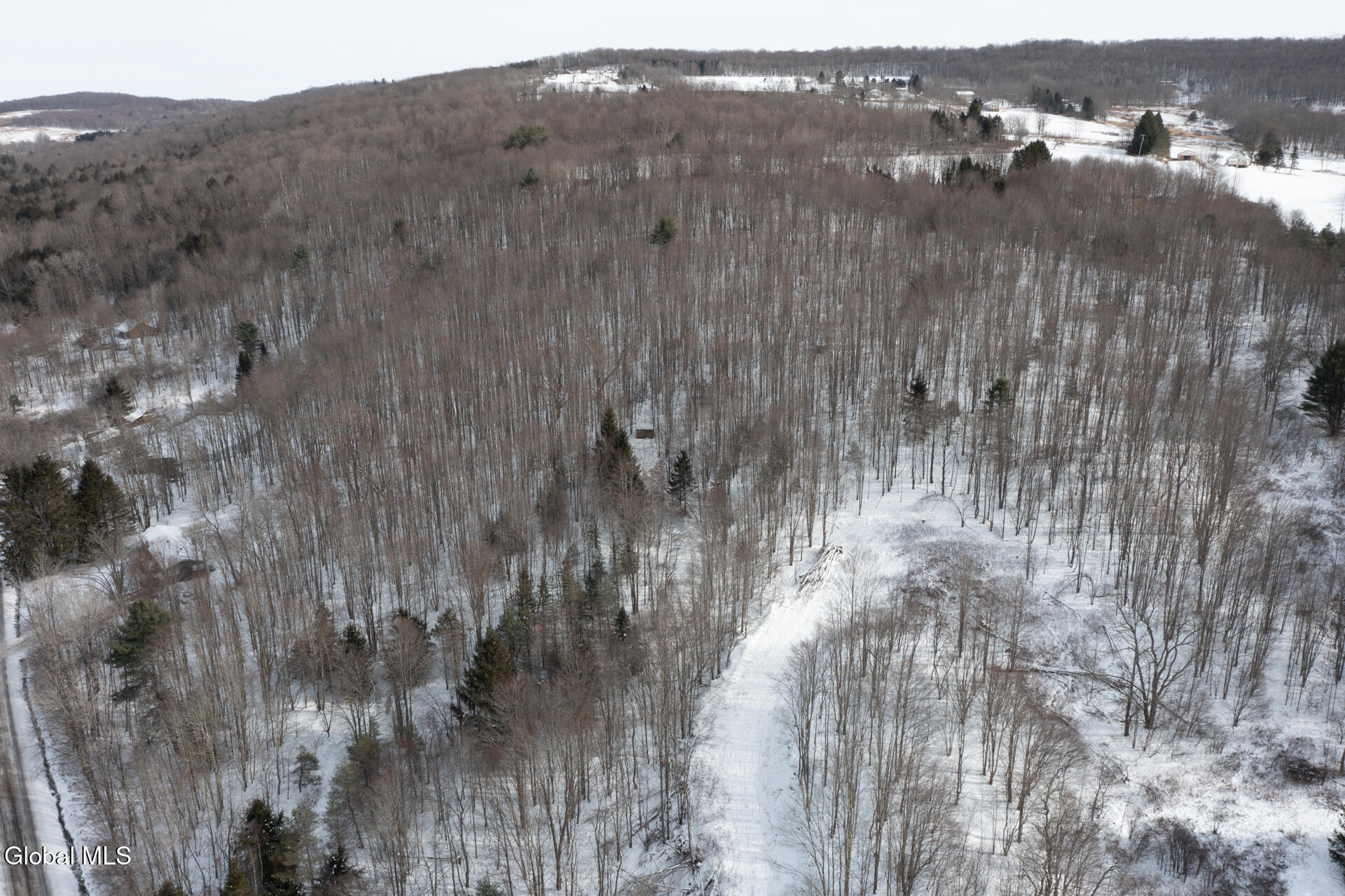 L3.7 Pine Swamp Road Sidney Center, NY 13839 - Photo 20 of 28 PineSwampRd-8