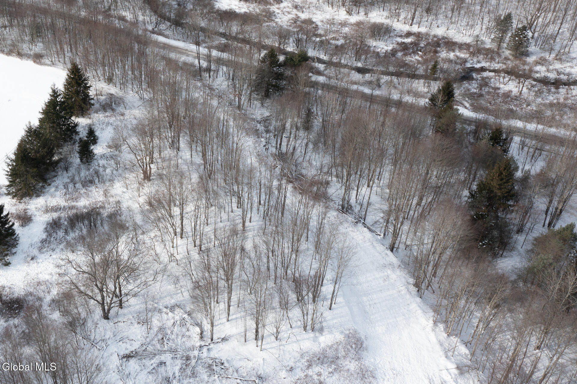 L3.7 Pine Swamp Road Sidney Center, NY 13839 - Photo 21 of 28 PineSwampRd-7