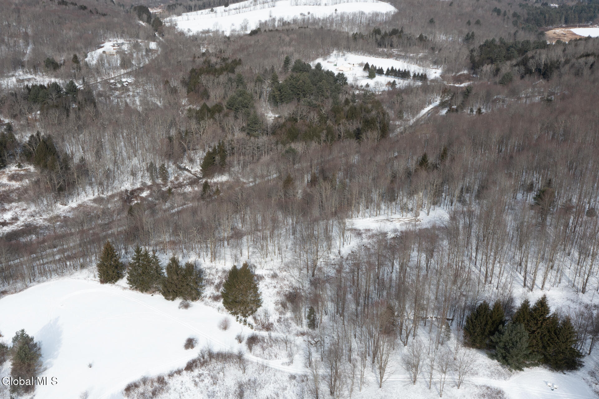 L3.7 Pine Swamp Road Sidney Center, NY 13839 - Photo 22 of 28 PineSwampRd-6