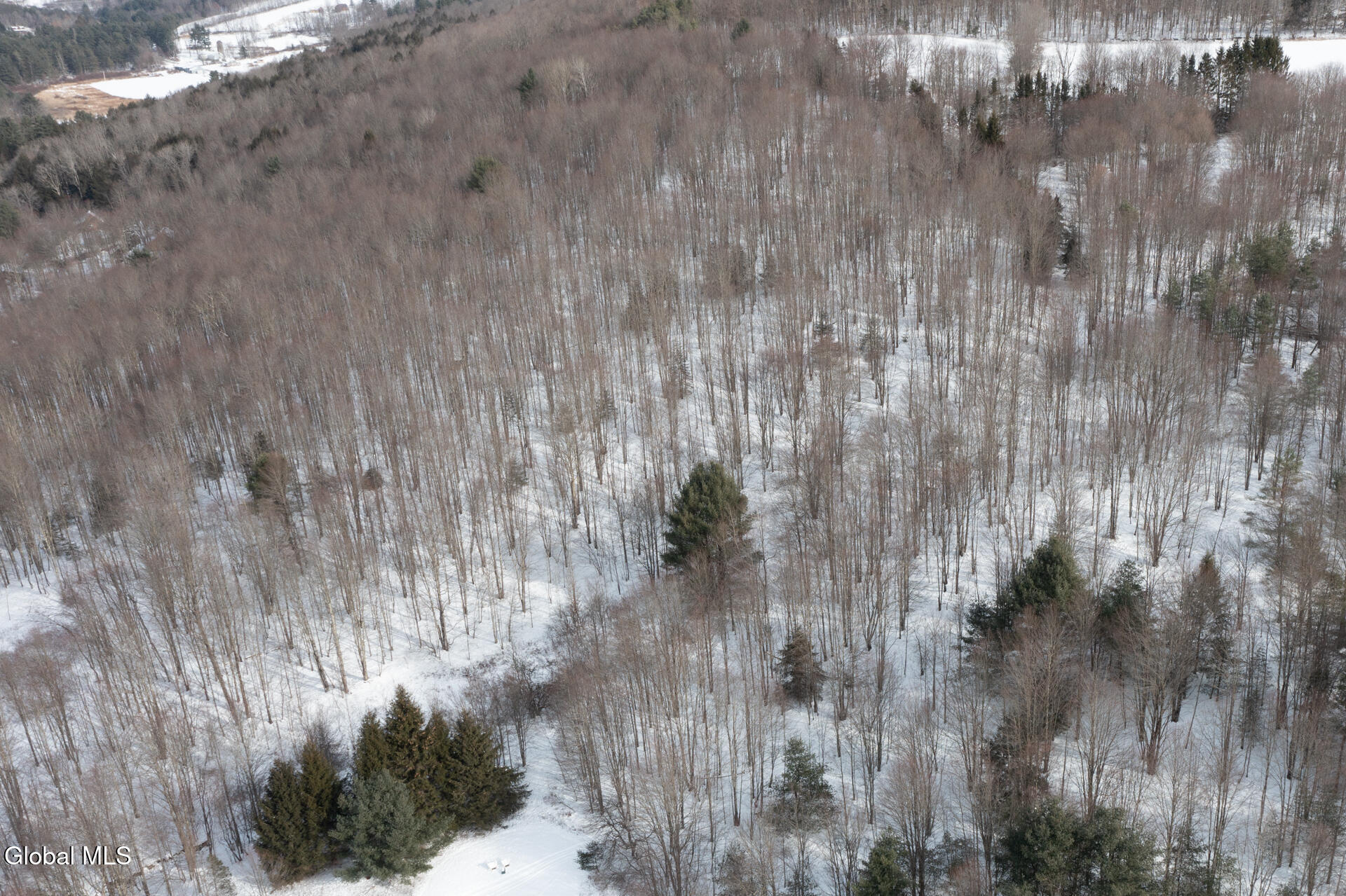 L3.7 Pine Swamp Road Sidney Center, NY 13839 - Photo 23 of 28 PineSwampRd-5