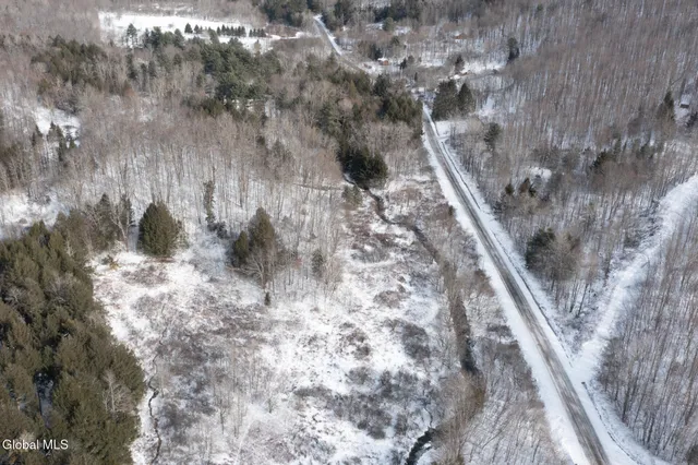 $60,000 | L3.7 Pine Swamp Road, Sidney Center, NY 13839