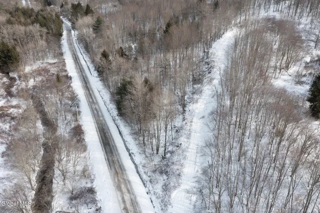 $60,000 | L3.7 Pine Swamp Road, Sidney Center, NY 13839