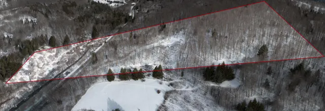 $60,000 | L3.7 Pine Swamp Road, Sidney Center, NY 13839