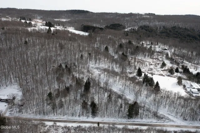 $60,000 | L3.7 Pine Swamp Road, Sidney Center, NY 13839