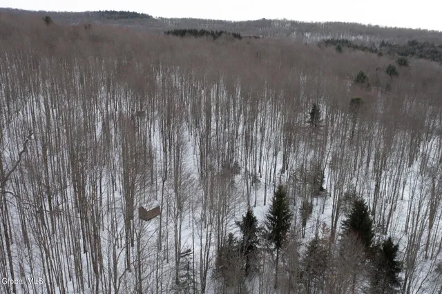 $60,000 | L3.7 Pine Swamp Road, Sidney Center, NY 13839