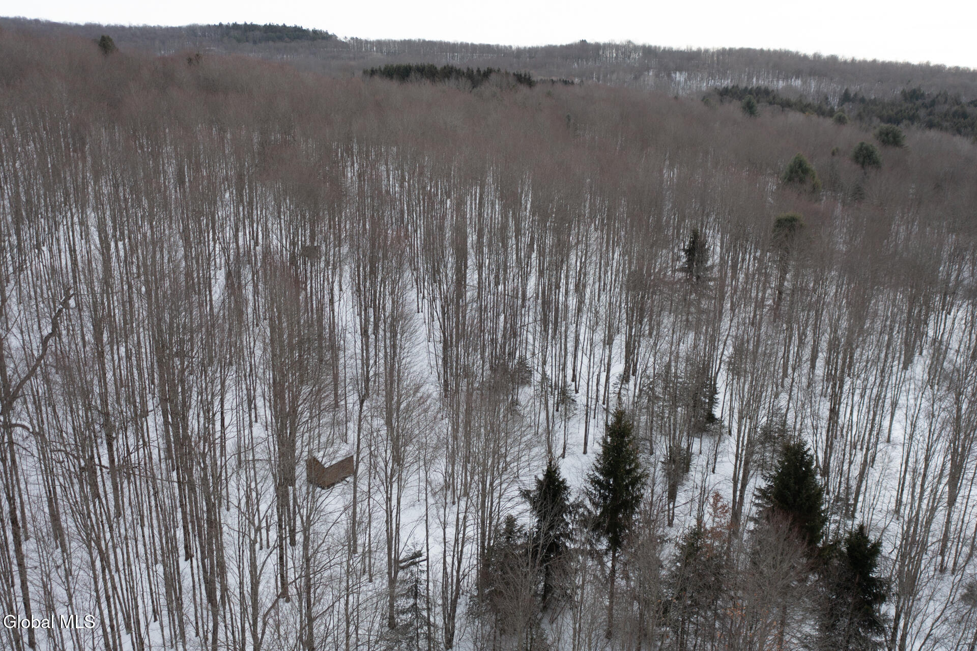 L3.7 Pine Swamp Road Sidney Center, NY 13839 - Photo 5 of 28 PineSwampRd-26